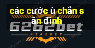 các cước ù chắn sân đình