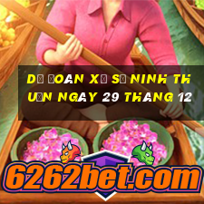 dự đoán xổ số ninh thuận ngày 29 tháng 12