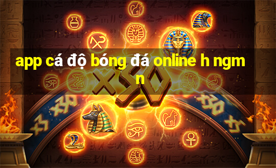 app cá độ bóng đá online h ngm n