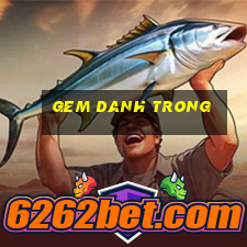 gem danh trong