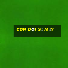 con dòi số mấy