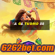 đá gà thomo 88