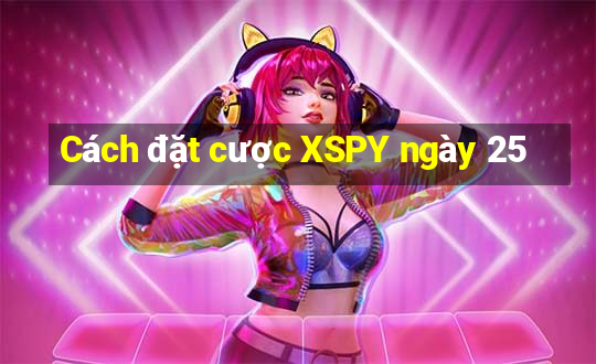 Cách đặt cược XSPY ngày 25