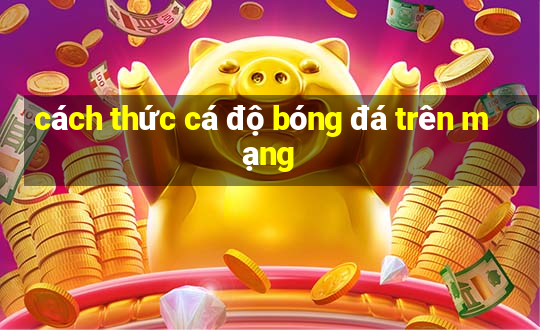 cách thức cá độ bóng đá trên mạng