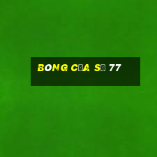 bóng của số 77