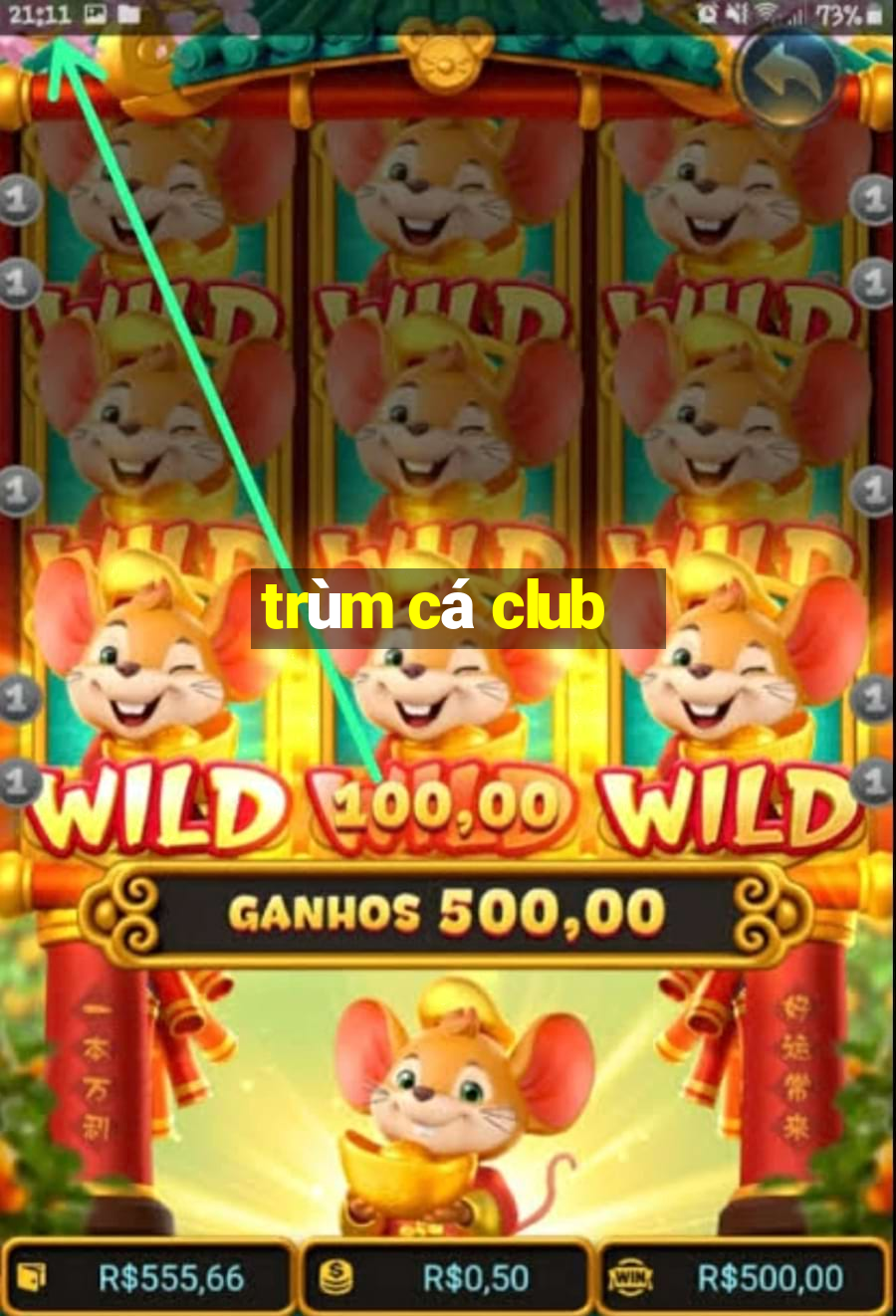 trùm cá club