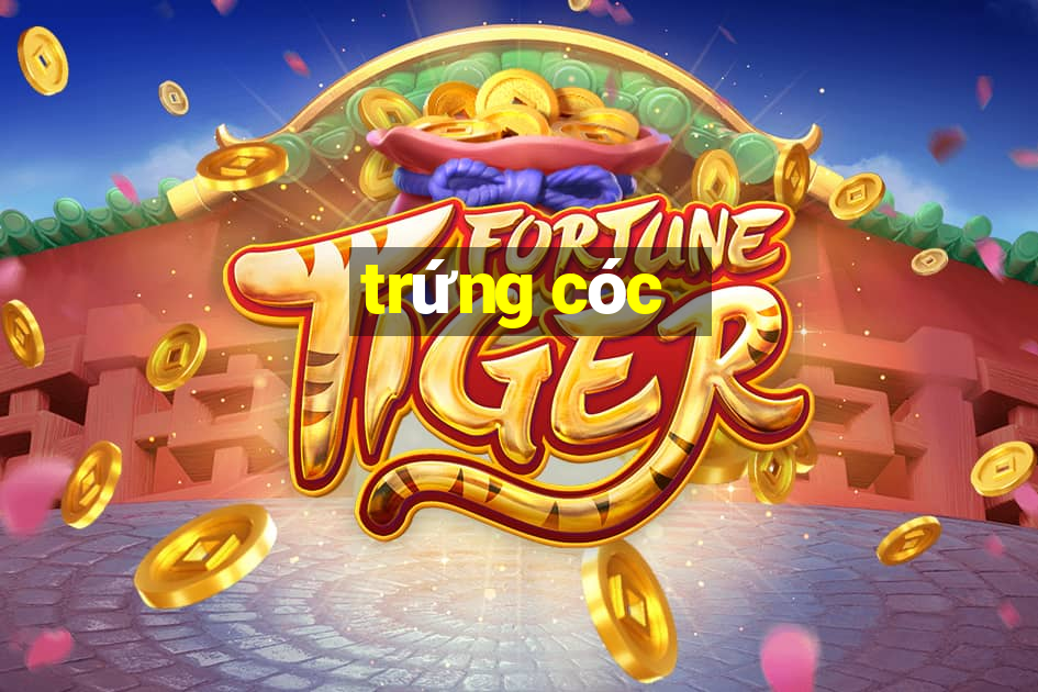 trứng cóc