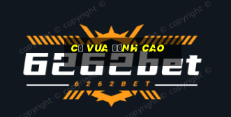 cờ vua đỉnh cao