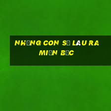 những con số lâu ra miền bắc