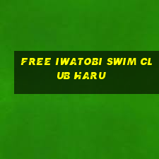 free iwatobi swim club haru