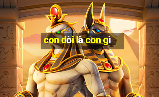 con dòi là con gì