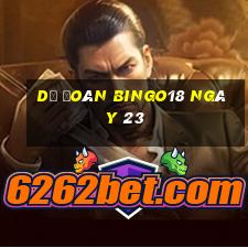 Dự Đoán Bingo18 ngày 23