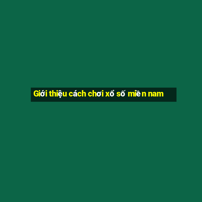 Giới thiệu cách chơi xổ số miền nam