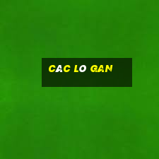 các lô gan