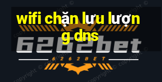 wifi chặn lưu lượng dns