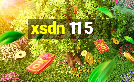 xsdn 11 5