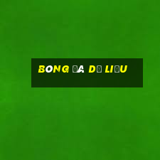 bóng đá dữ liệu