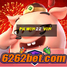 Pkwin22 Vin