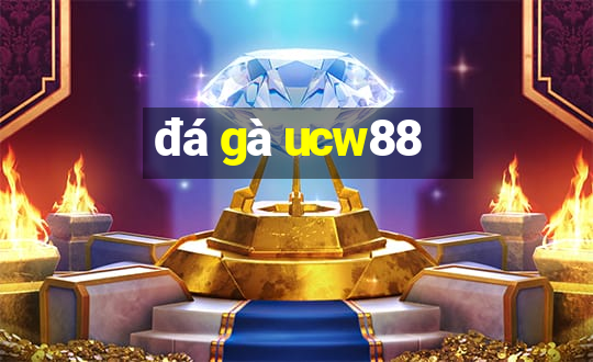 đá gà ucw88