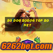 Bo DOG bodOG Top Bo Net